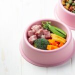 makanan-anjing