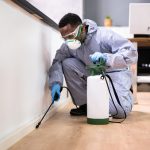 jasa-pest-control