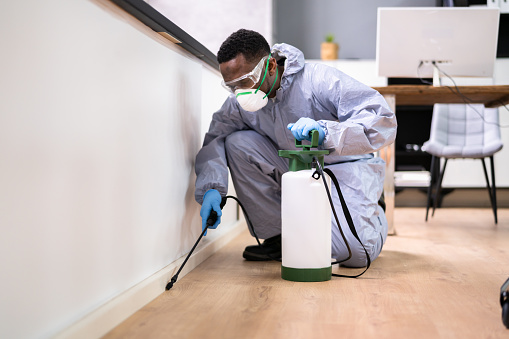 jasa-pest-control