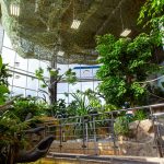 inspirasi-taman-dalam-rumah