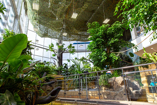inspirasi-taman-dalam-rumah