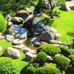 rumput-jepang-untuk-taman