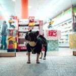 pet-shop-jakarta-barat