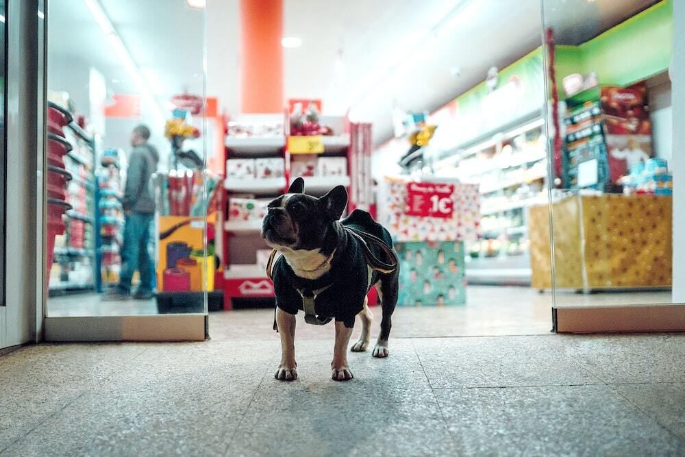 pet-shop-jakarta-barat
