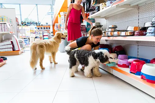 pet-shop-terdekat