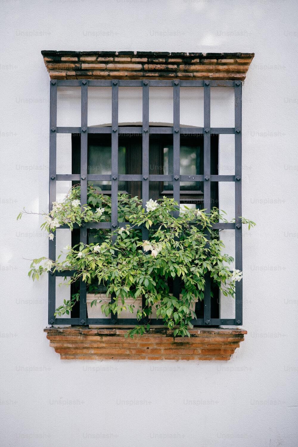 teralis-jendela-motif-daun