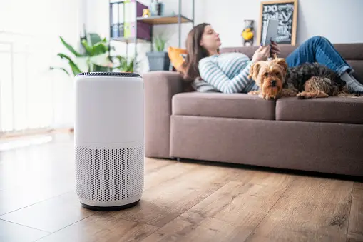 cara-menggunakan-air-purifier