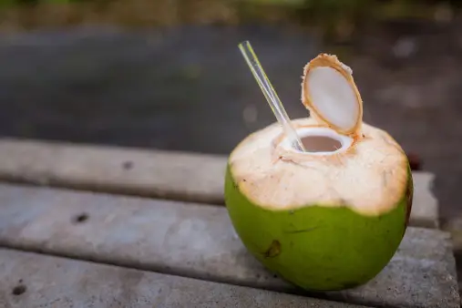 air kelapa