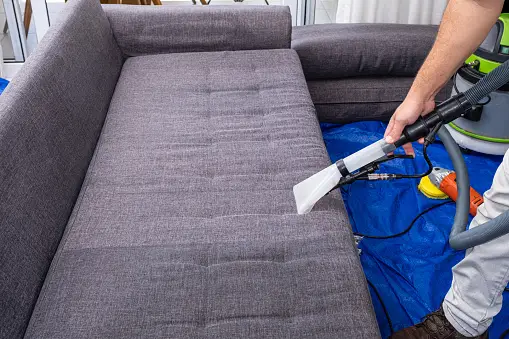 sofa cleaning